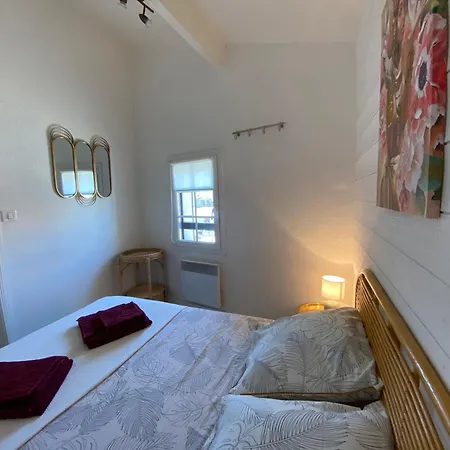 Apartment Duplex Climatise Le Trident